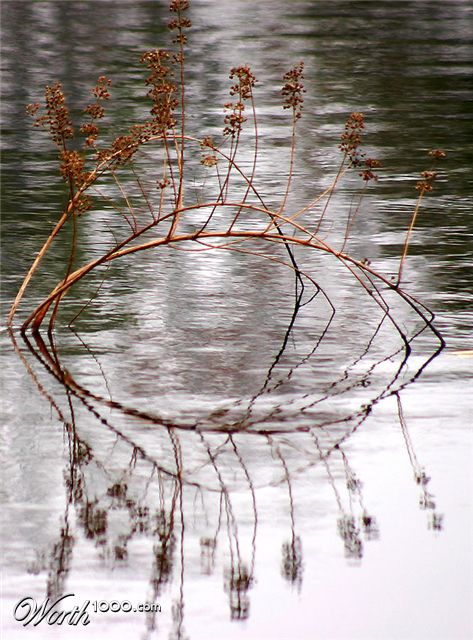 Photography by rdchdwck