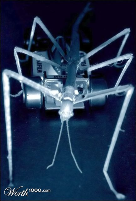 Photography by Isabella2006