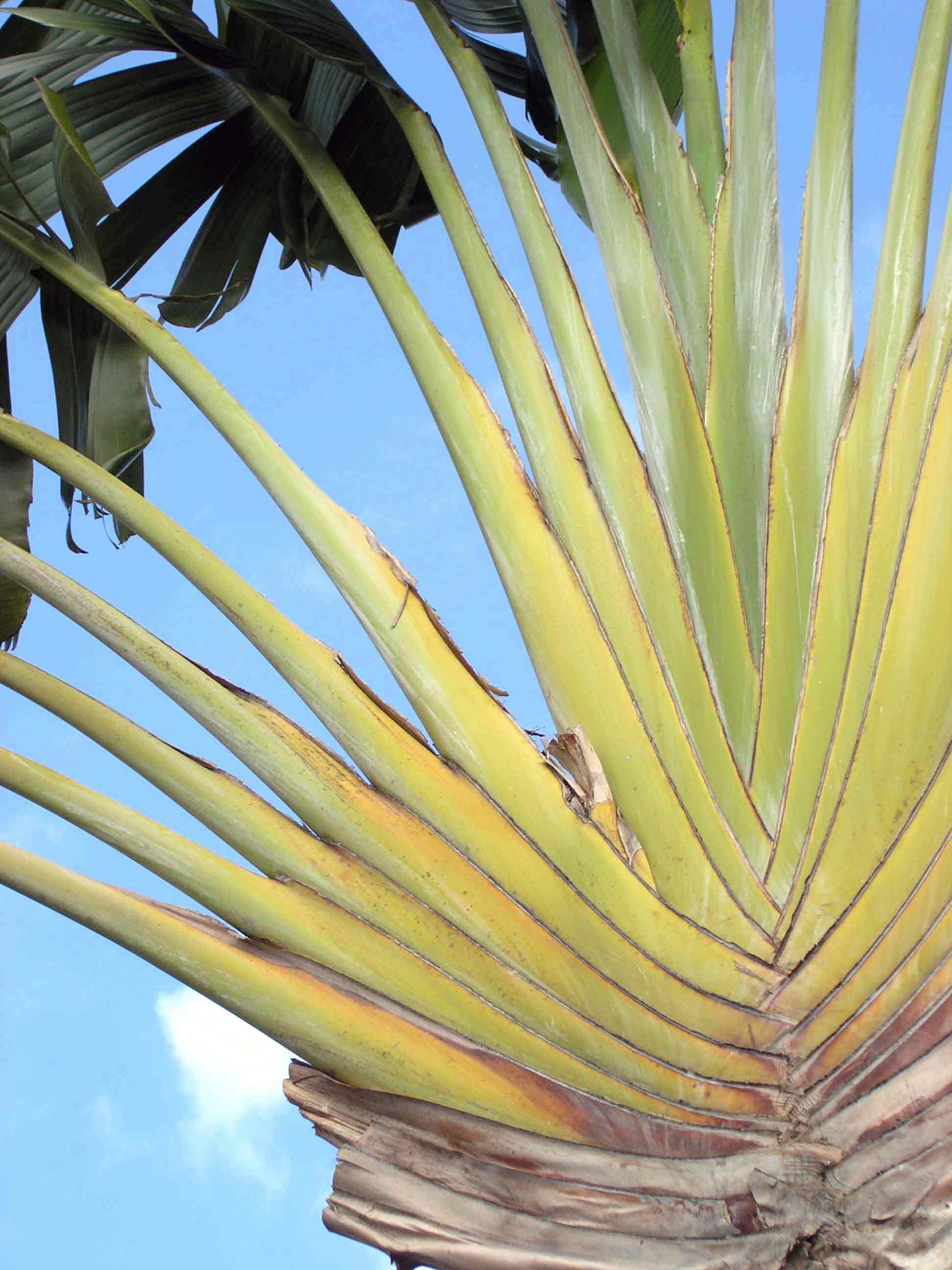 Photography by BenWa1 for DesignCrowd (Community Contests) | Design #9055710