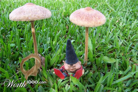 Photoshop Design by yavannilde