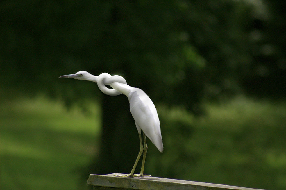 Diseño de Photoshop por e30338 para DesignCrowd (Community Contests) | Diseño #9062623