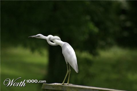 Photoshop Design by e30338