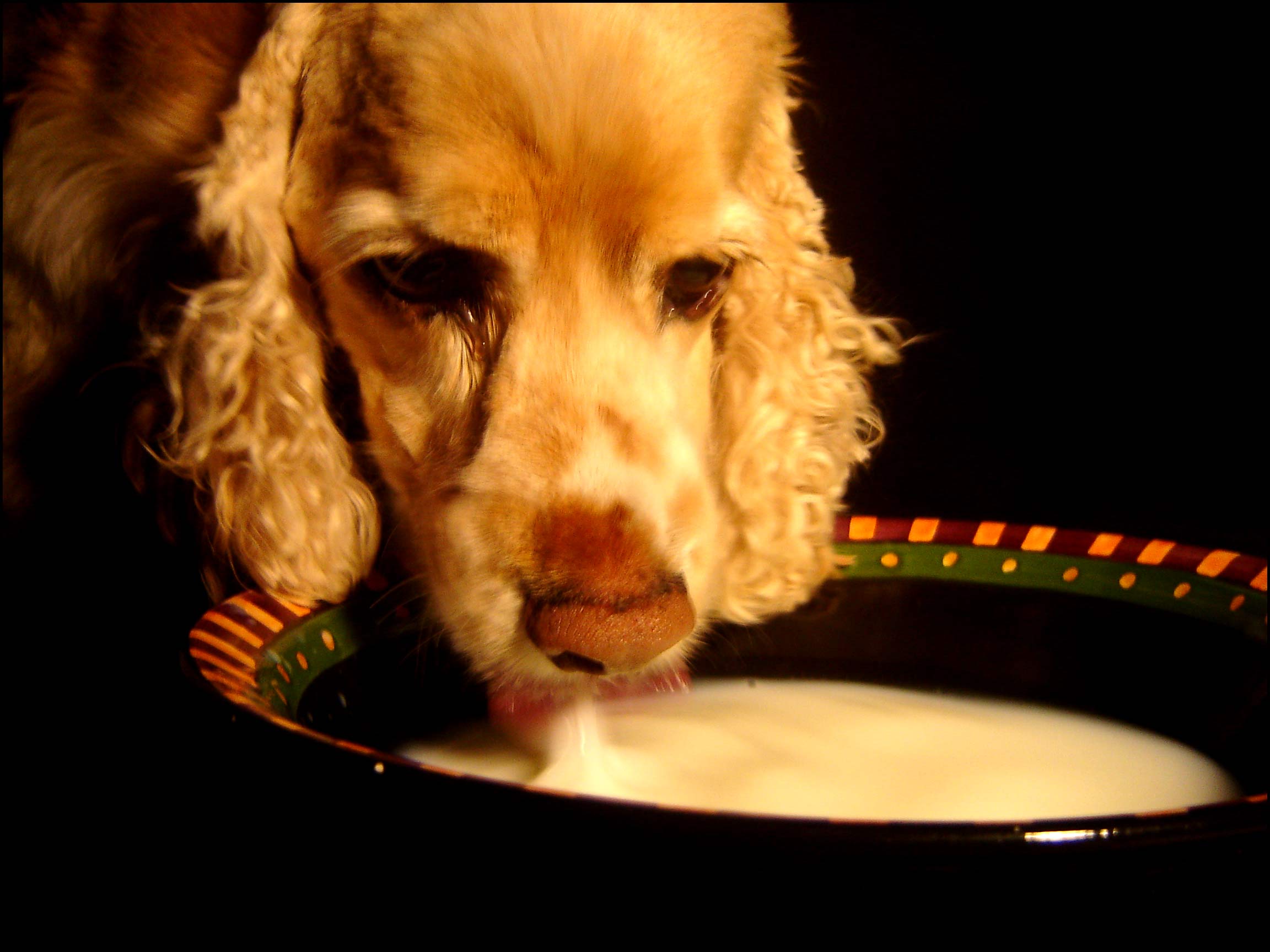 Photography by DoubleDizzle for DesignCrowd (Community Contests) | Design #9048055