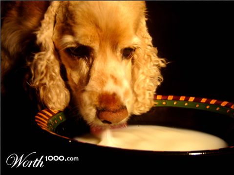 Photography by DoubleDizzle