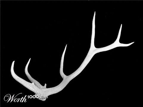 Photography by ShooterSue