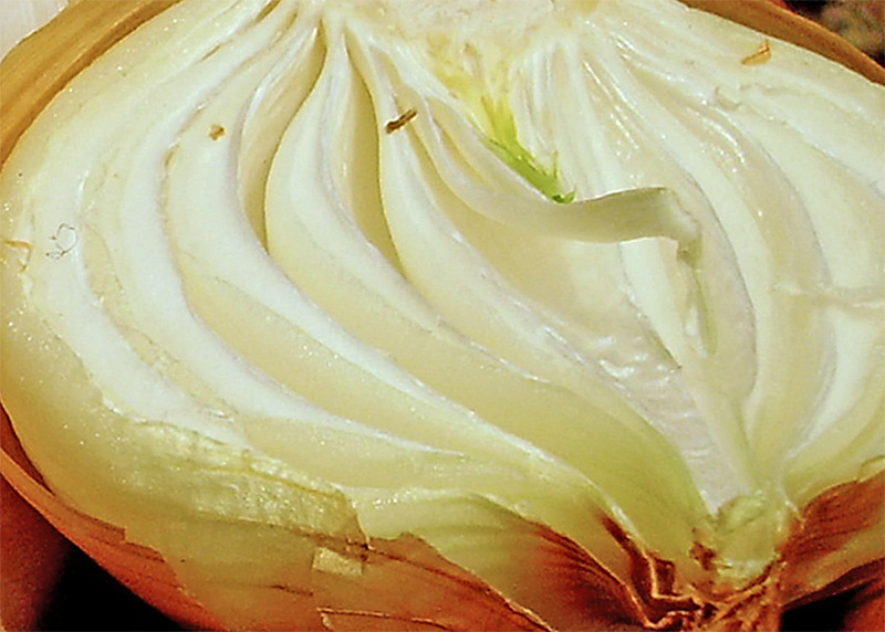 Fotografie von IsleofJura für DesignCrowd (Community Contests) | Design #9055857