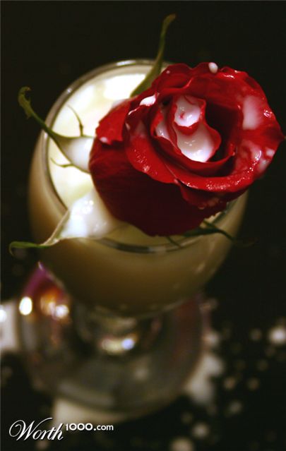 Photography by crawdaddy