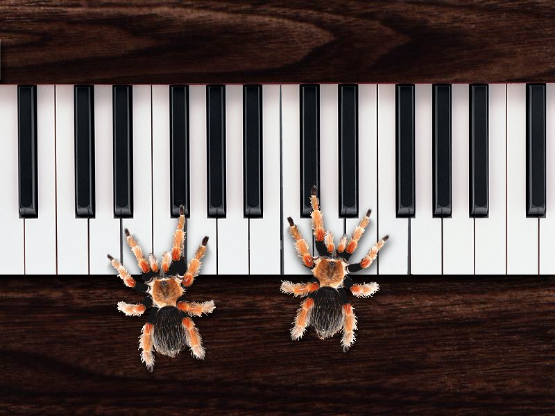 Design Photoshop par JClark8220 pour DesignCrowd (Community Contests) | Design #9057667