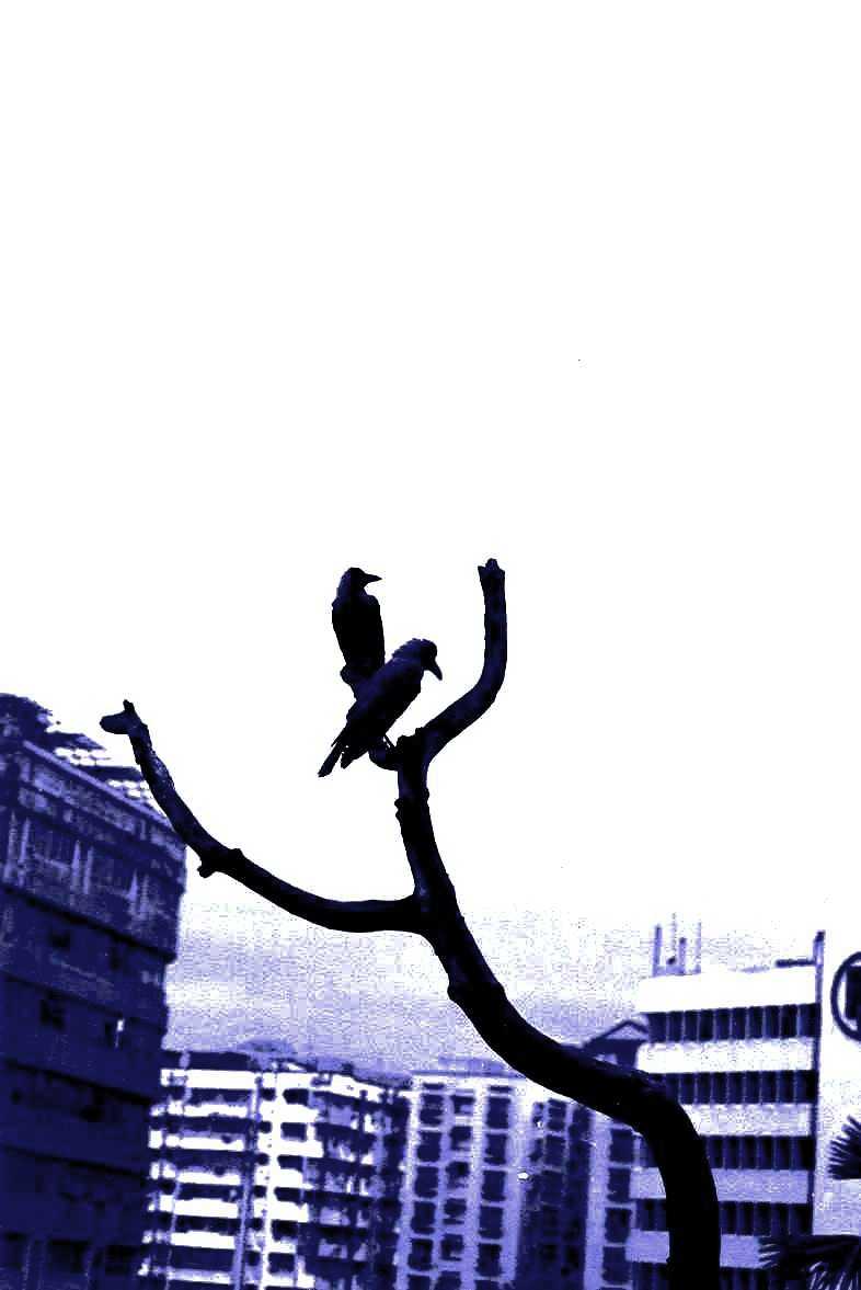 Photography by kalyangantait for DesignCrowd (Community Contests) | Design #9057116