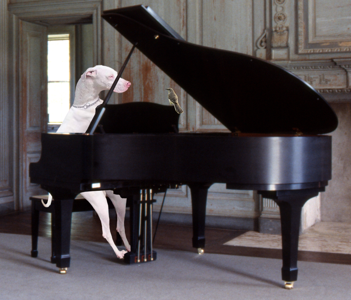 Diseño de Photoshop por andrebrenda para DesignCrowd (Community Contests) | Diseño #9057700