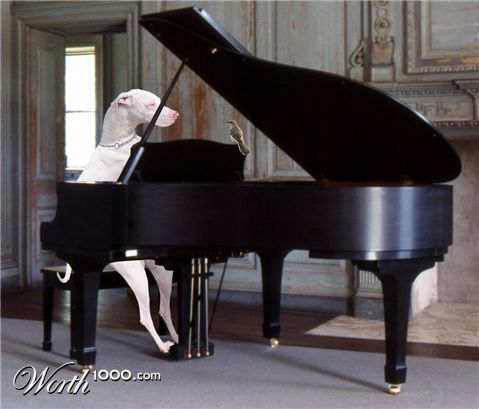 Photoshop Design by andrebrenda