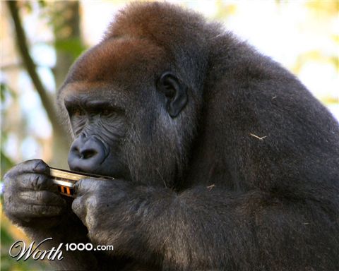 Photoshop Design by howlettn