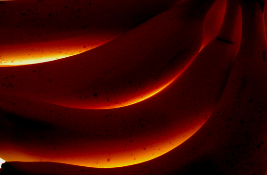 Fotografía por fabfella10 para DesignCrowd (Community Contests) | Diseño #9055829