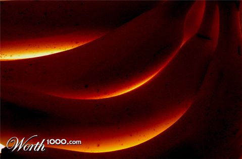 Photography by fabfella10