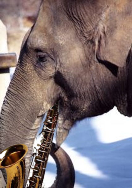 Diseño de Photoshop por whitebread1440 para DesignCrowd (Community Contests) | Diseño #9057752