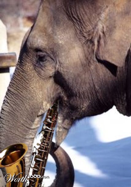 Photoshop Design by whitebread1440