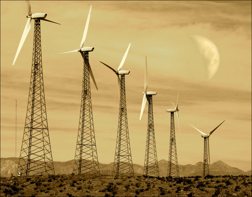 Photography by nowheregirl for DesignCrowd (Community Contests) | Design #9057179