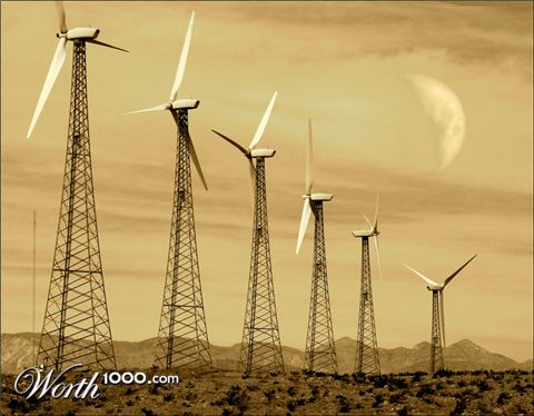 Photography by nowheregirl