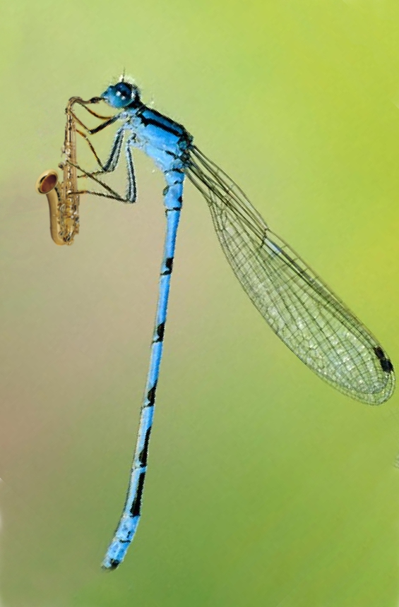 Photoshop Design by TheNomad for DesignCrowd (Community Contests) | Design #9057790