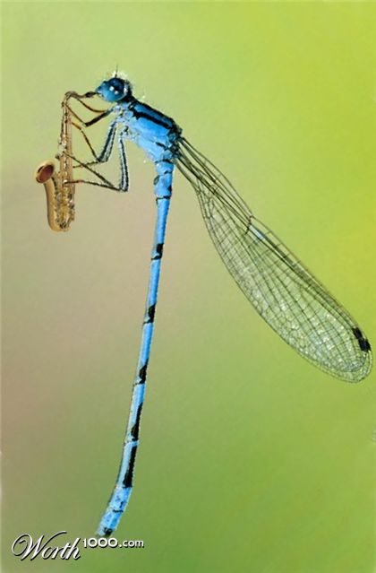 Photoshop Design by TheNomad