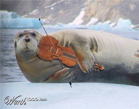 Photoshop Design by panaloliver2989