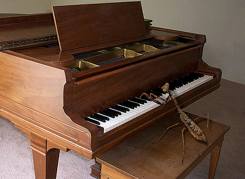 Photoshop Design by StrangeWorld for DesignCrowd (Community Contests) | Design #9057859