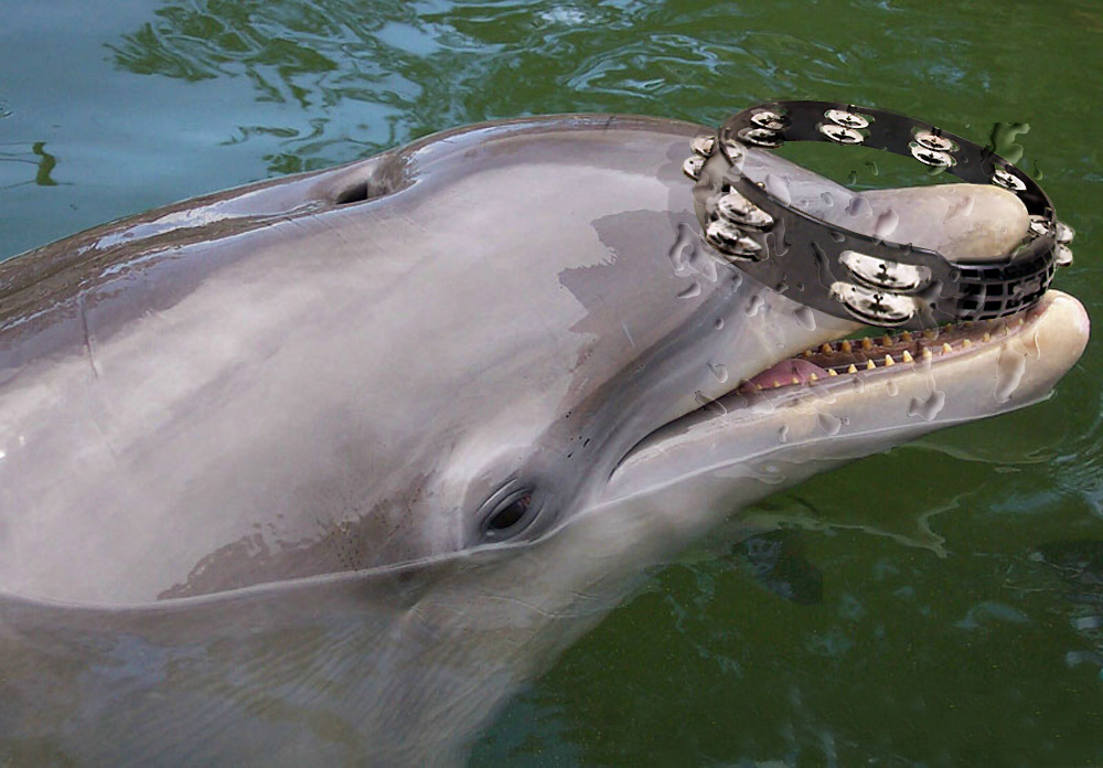 Photoshop Design by EyEars for DesignCrowd (Community Contests) | Design #9057905