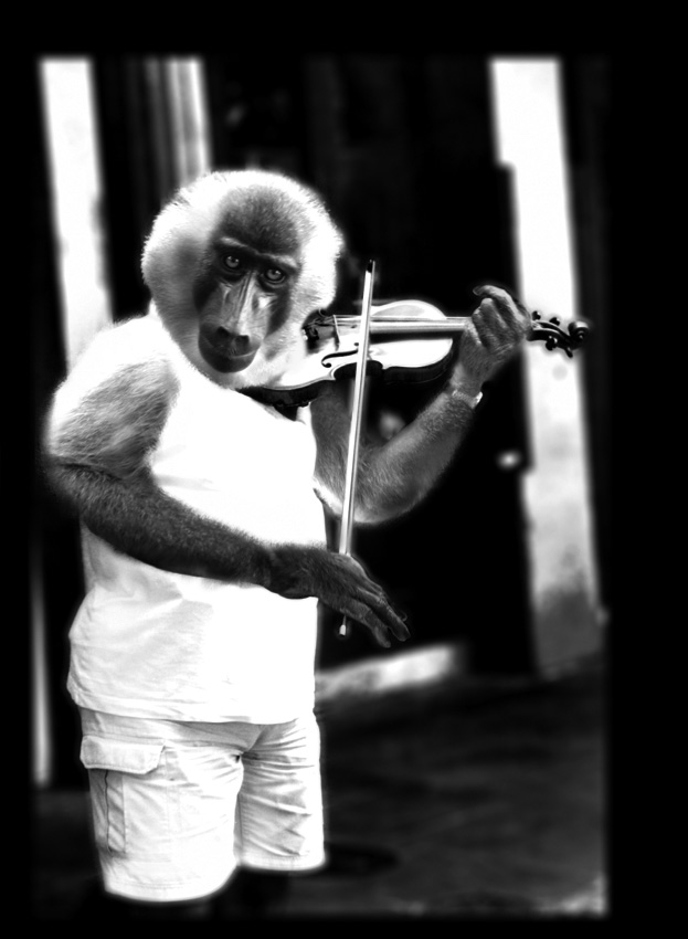 Photoshop Design by sindaco for DesignCrowd (Community Contests) | Design #9057926