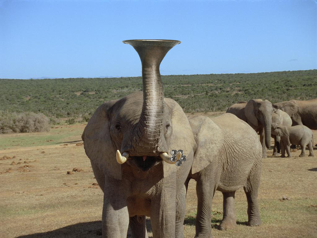 Photoshop Design by HannesRoets for DesignCrowd (Community Contests) | Design #9057913