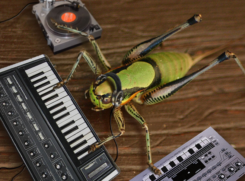 Diseño de Photoshop por spiraleye para DesignCrowd (Community Contests) | Diseño #9057868