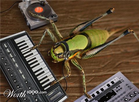 Photoshop Design by spiraleye