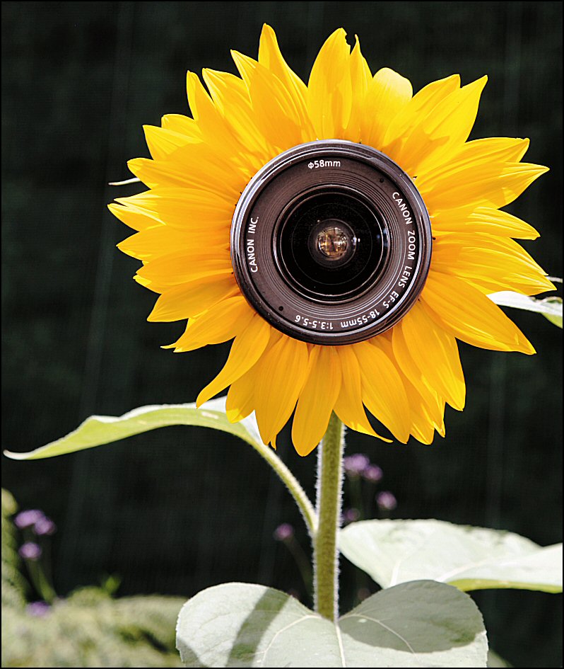 Photography by Juicer for DesignCrowd (Community Contests) | Design #9057149