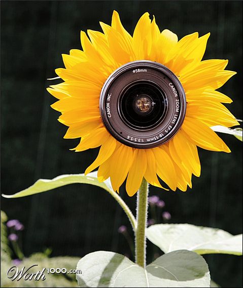 Photography by Juicer