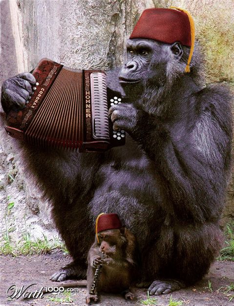 Photoshop Design by Anabole