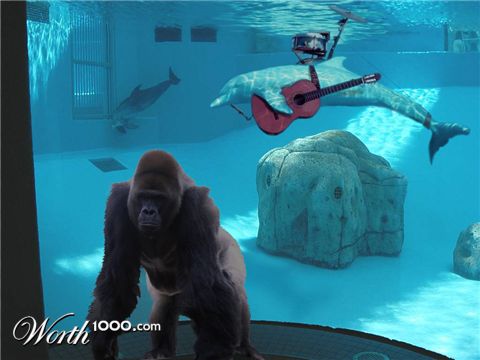 Photoshop Design by Focusedpain