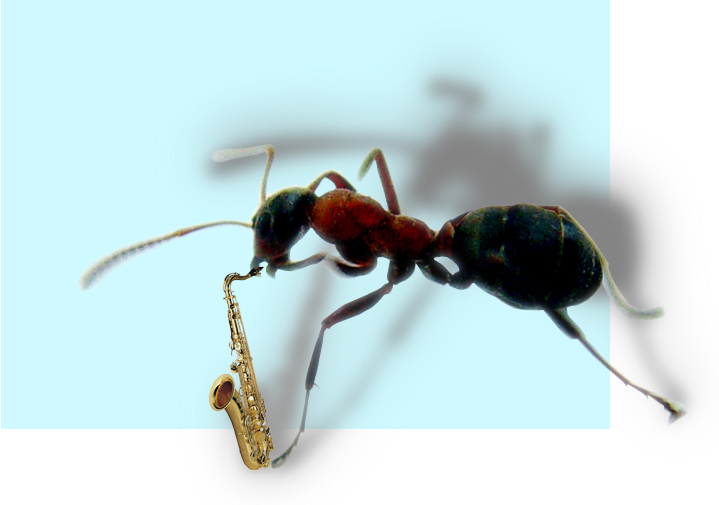 Diseño de Photoshop por TheMentalPatient para DesignCrowd (Community Contests) | Diseño #9057943