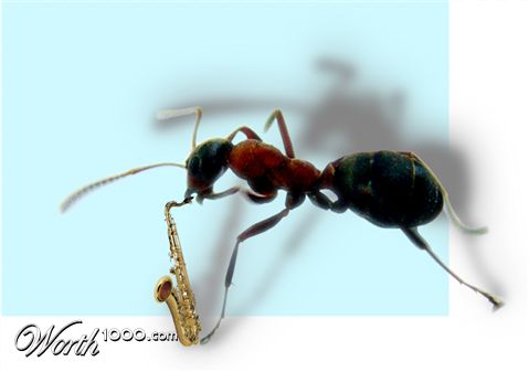 Photoshop Design by TheMentalPatient