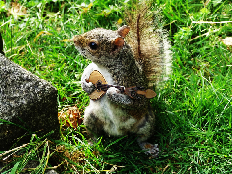 Diseño de Photoshop por deqr00 para DesignCrowd (Community Contests) | Diseño #9057877