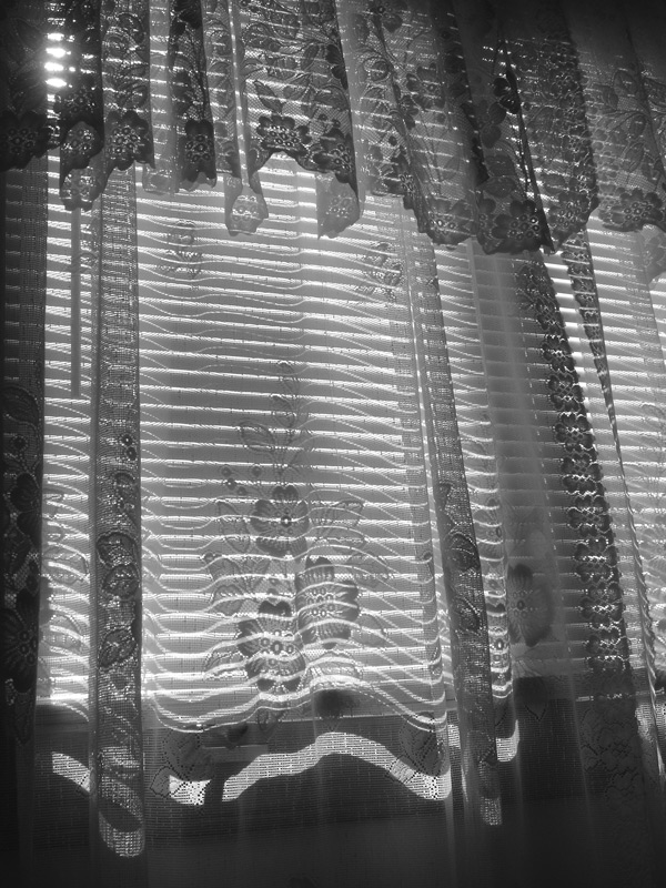 Fotografía por Milkbeard para DesignCrowd (Community Contests) | Diseño #9056062