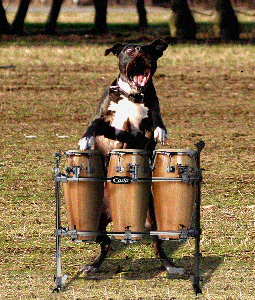 Photoshop-Design von mokathecat für DesignCrowd (Community Contests) | Design #9057919