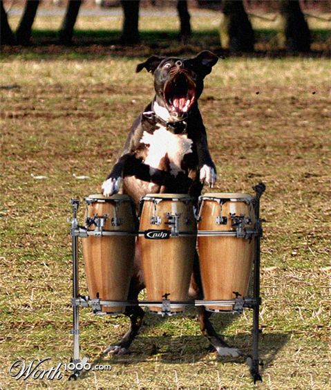 Photoshop Design by mokathecat