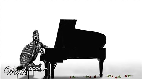 Photoshop Design by Campdogg
