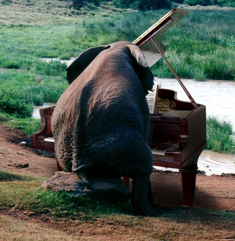 Design Photoshop par godzillatemple pour DesignCrowd (Community Contests) | Design #9057793