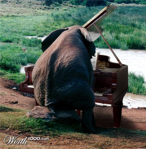 Photoshop Design by godzillatemple