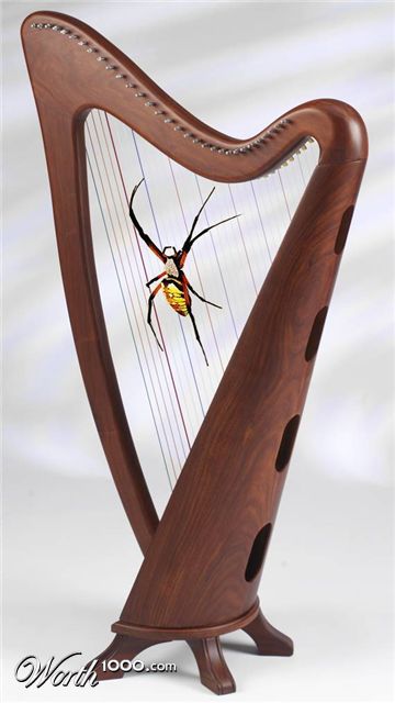 Photoshop Design by schrimp