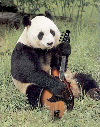 Design Photoshop par Deborahb pour DesignCrowd (Community Contests) | Design #9058033