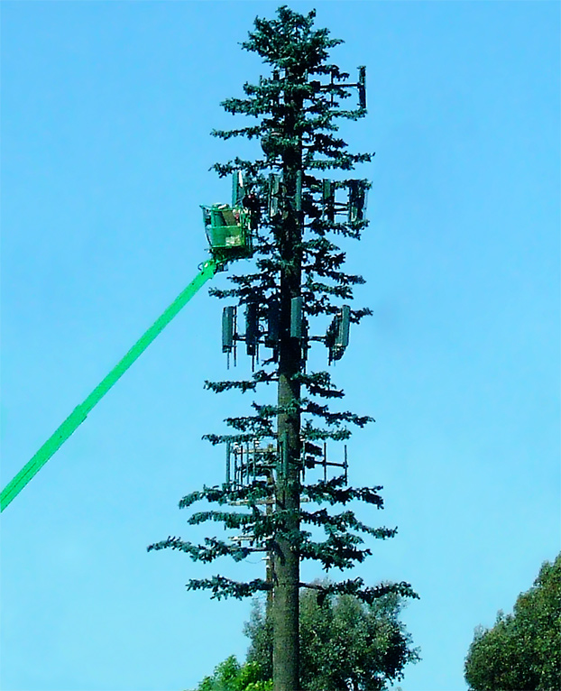 Photography by PatrickRyan for DesignCrowd (Community Contests) | Design #9057224