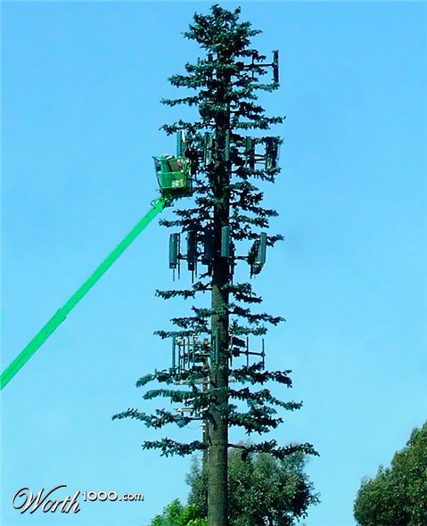 Photography by PatrickRyan