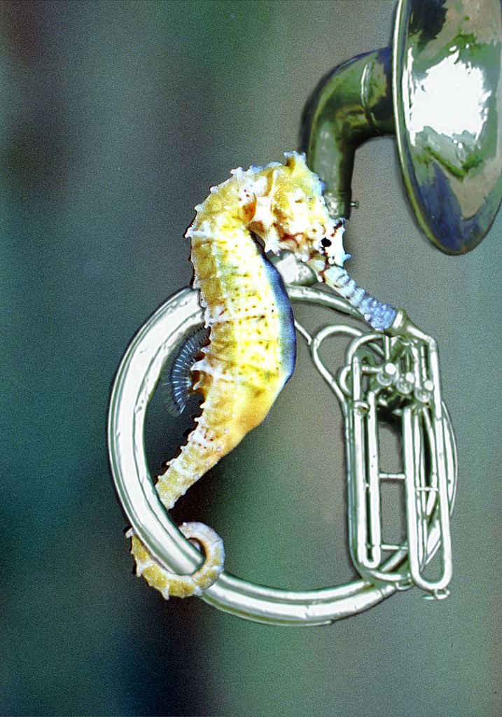 Diseño de Photoshop por kibbitzmom para DesignCrowd (Community Contests) | Diseño #9058062