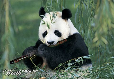 Photoshop Design by pacifico